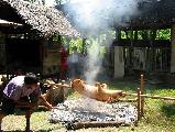  Picture: Cebu2002pic04.jpg