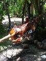  Picture: Cebu2002pic07.jpg