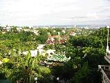  Picture: Cebu2002pic31.jpg