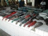  Picture: DSCN3252.JPG