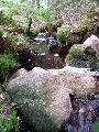  Picture: dscf0824.jpg